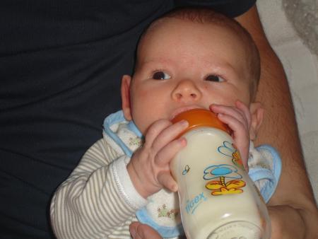 Le Bib !